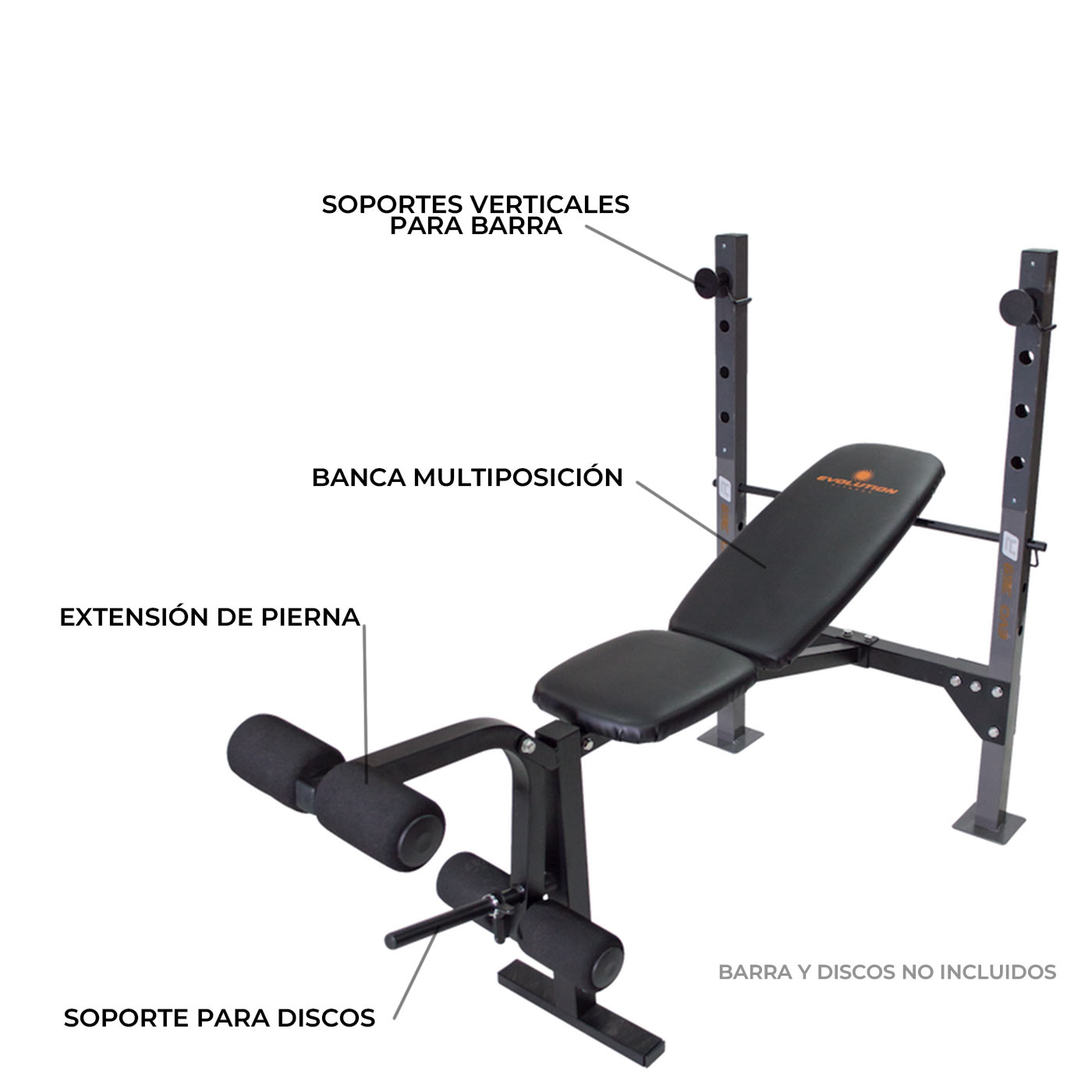 Banco Plano Inclinado Precio De Banco Para Pecho Banco Inclinado