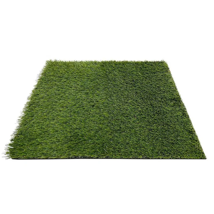 Evo Summer 30 - Imagen 2