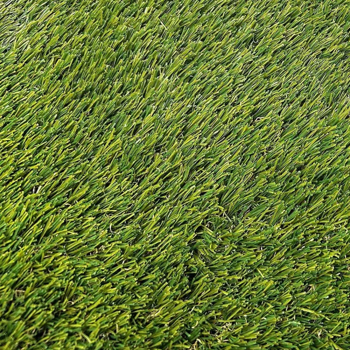 Evo Summer 30 - Imagen 3