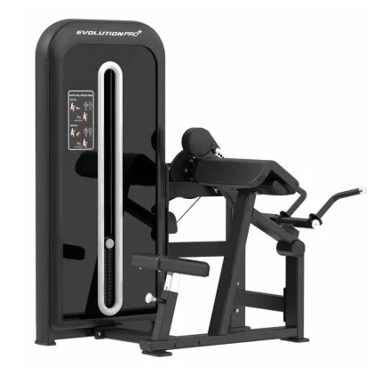 DUAL BÍCEPS / TRICEPS